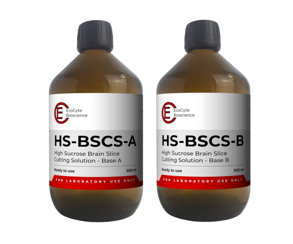 HS BSCS 6x